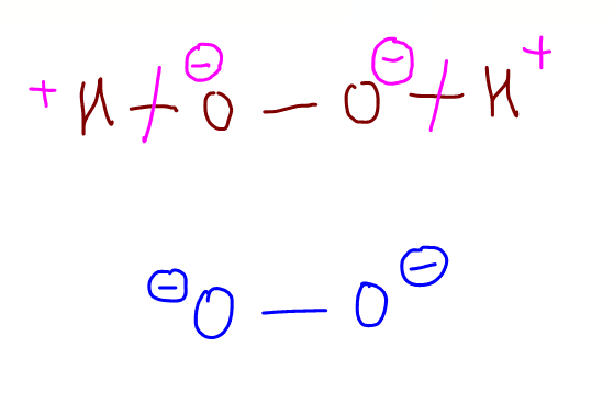 2019 p1 q4 deduce peroxide anion