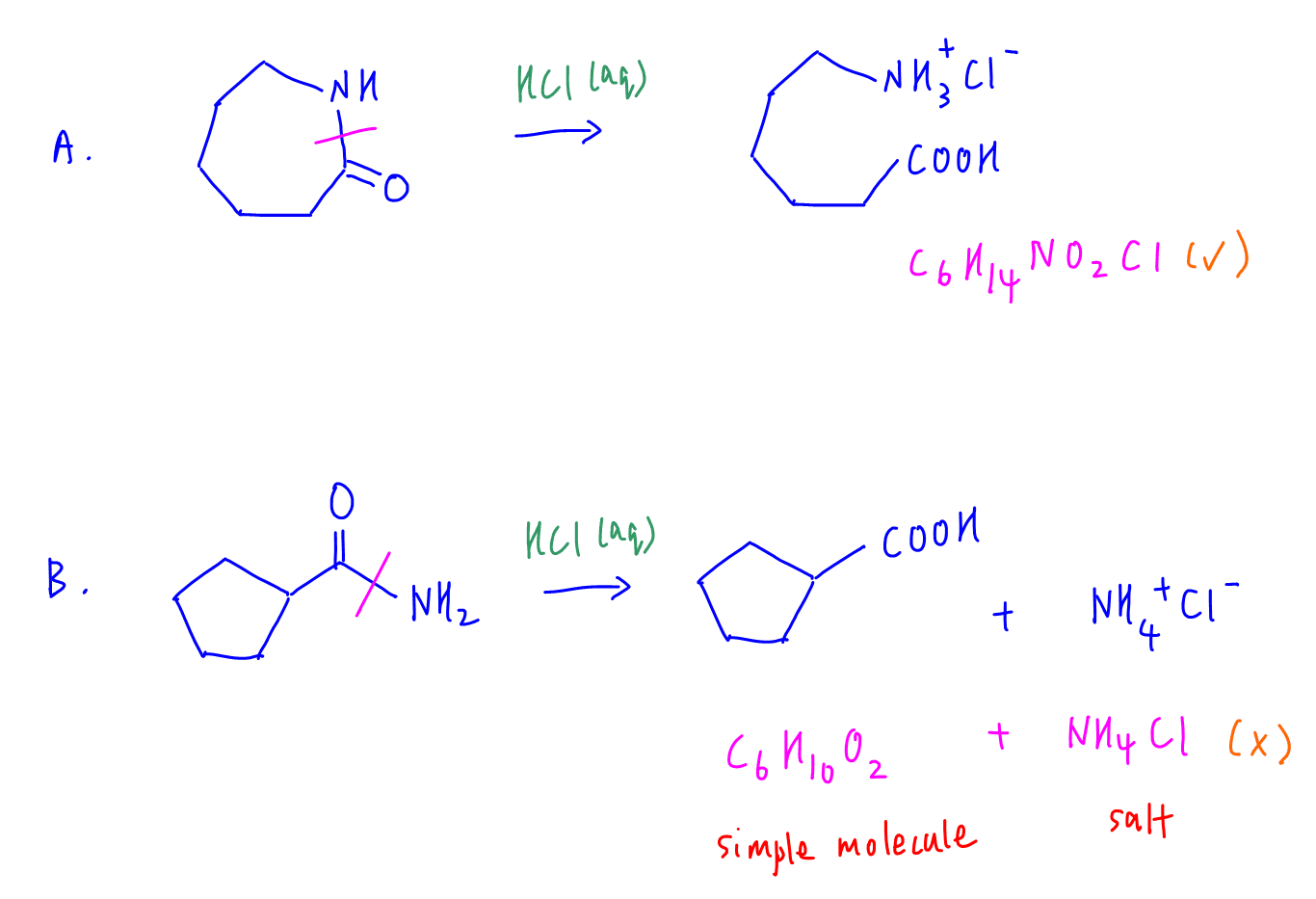 cyclic amide hydrolysis