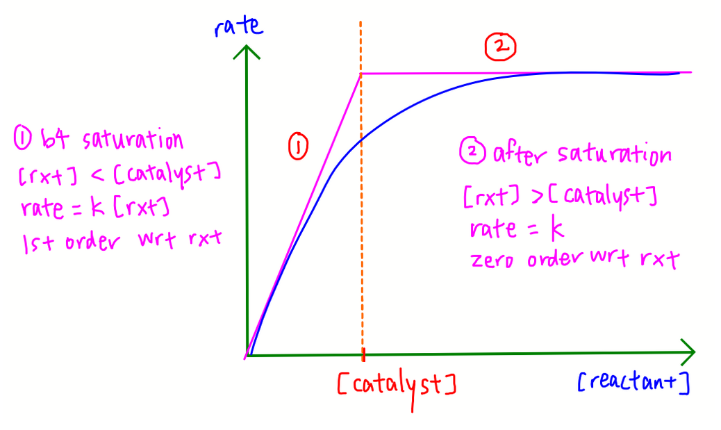 2023p1 q11 explain