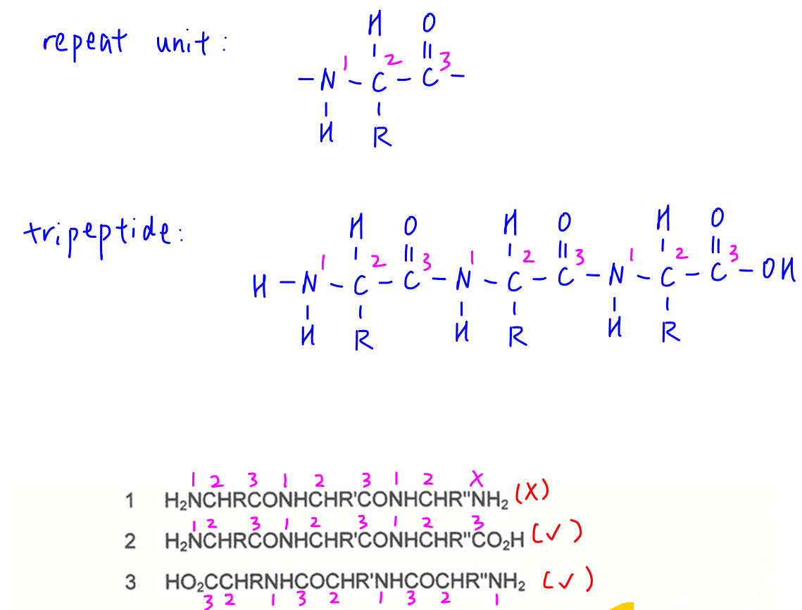 2023p1 q27 explain