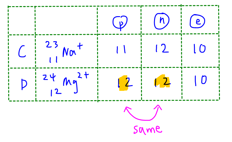 2024p1 q1 explain