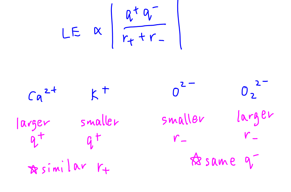 2024p1 q8 explain