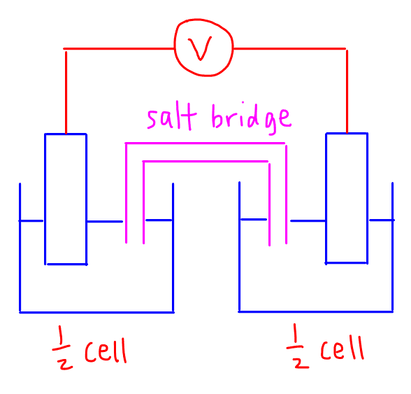 12+ Cell Diagram Chemistry