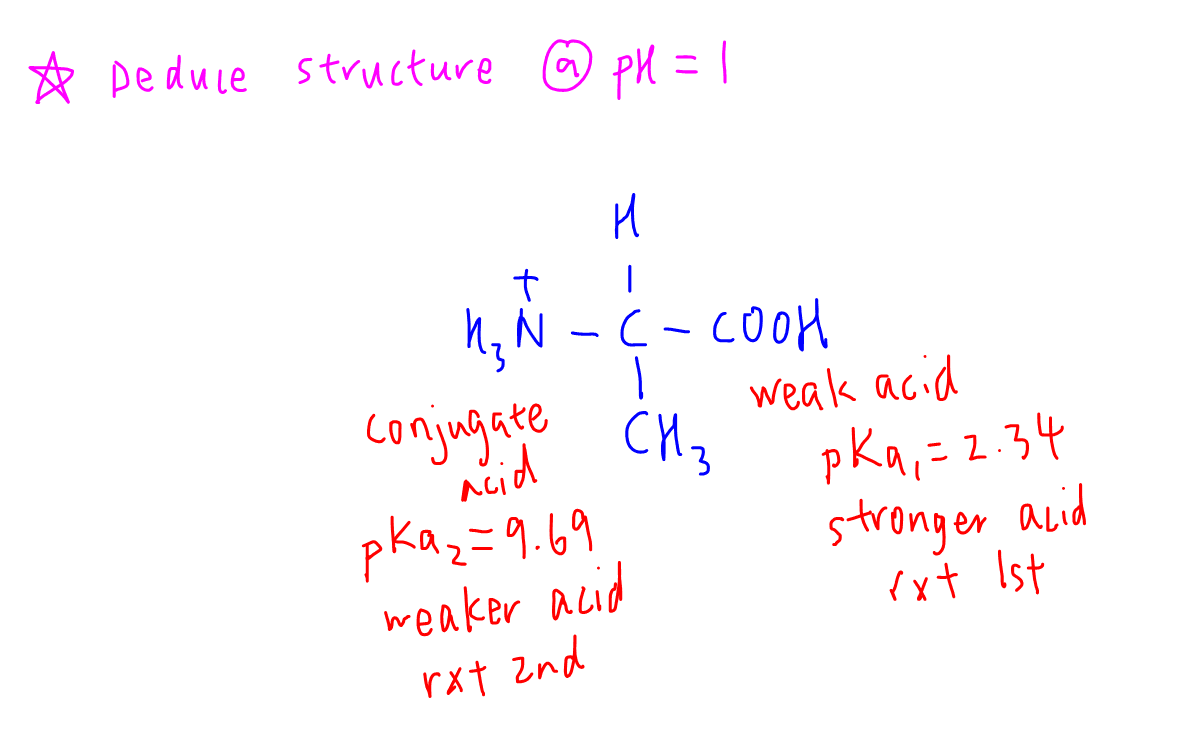 titration curve amino acid