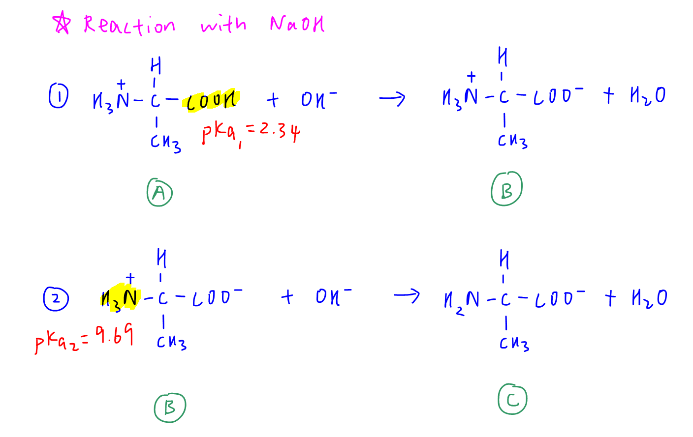 titration curve amino acid